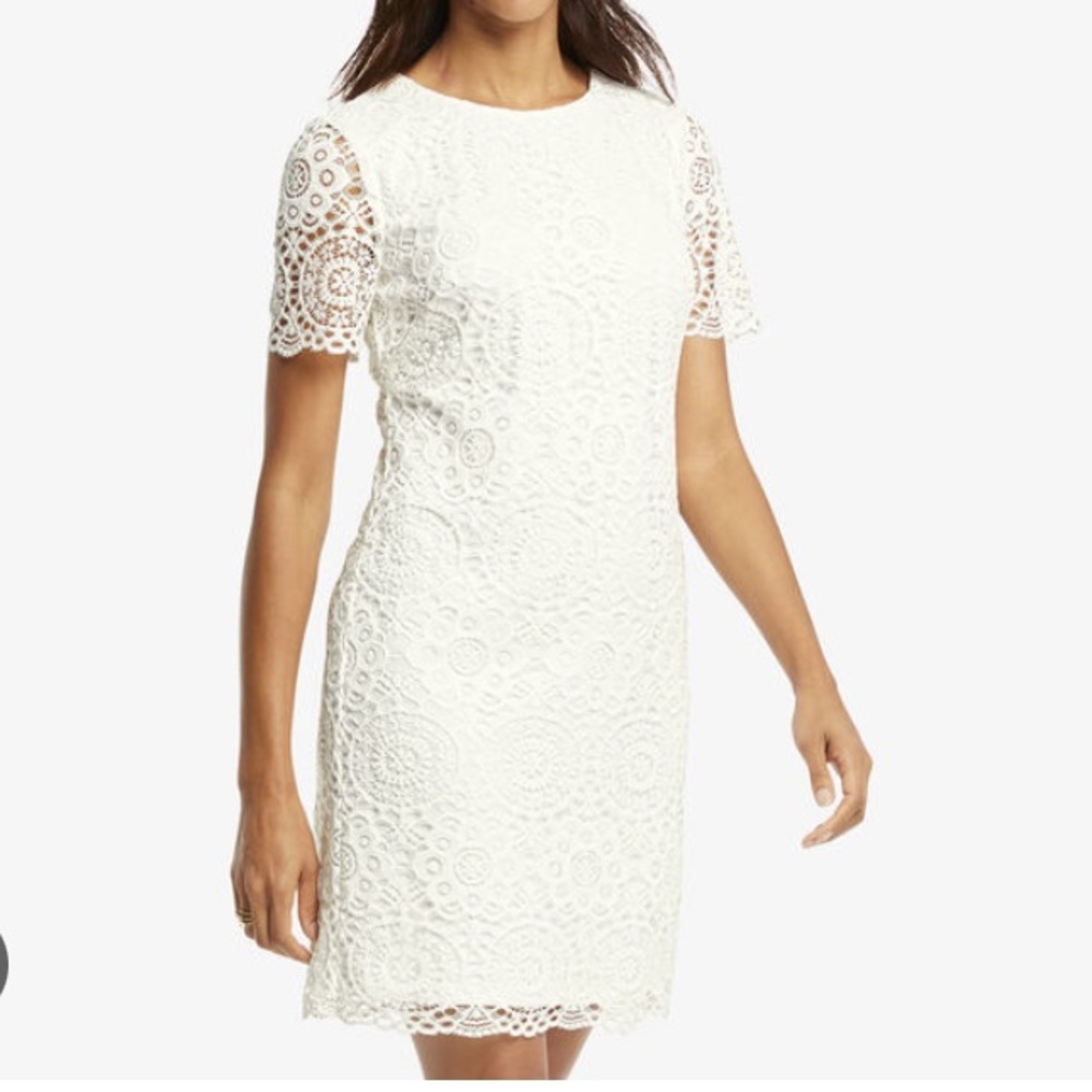 Johnston & Murphy Lace Shift Dress, size 16